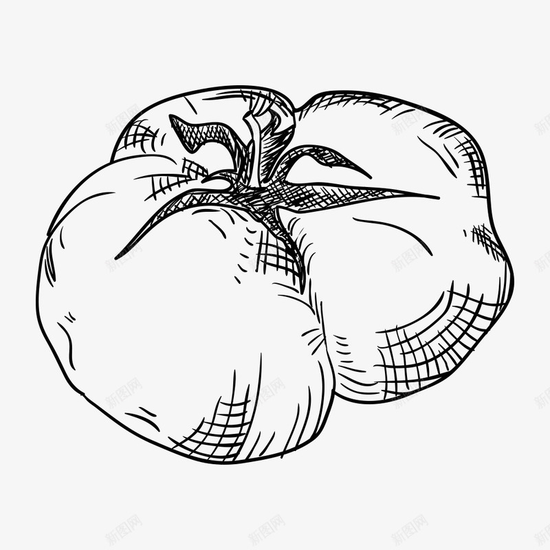 线描西红柿png免抠素材_新图网 https://ixintu.com 手绘蔬菜 手绘西红柿 素描西红柿 线描 线描西红柿 绘画 西红柿
