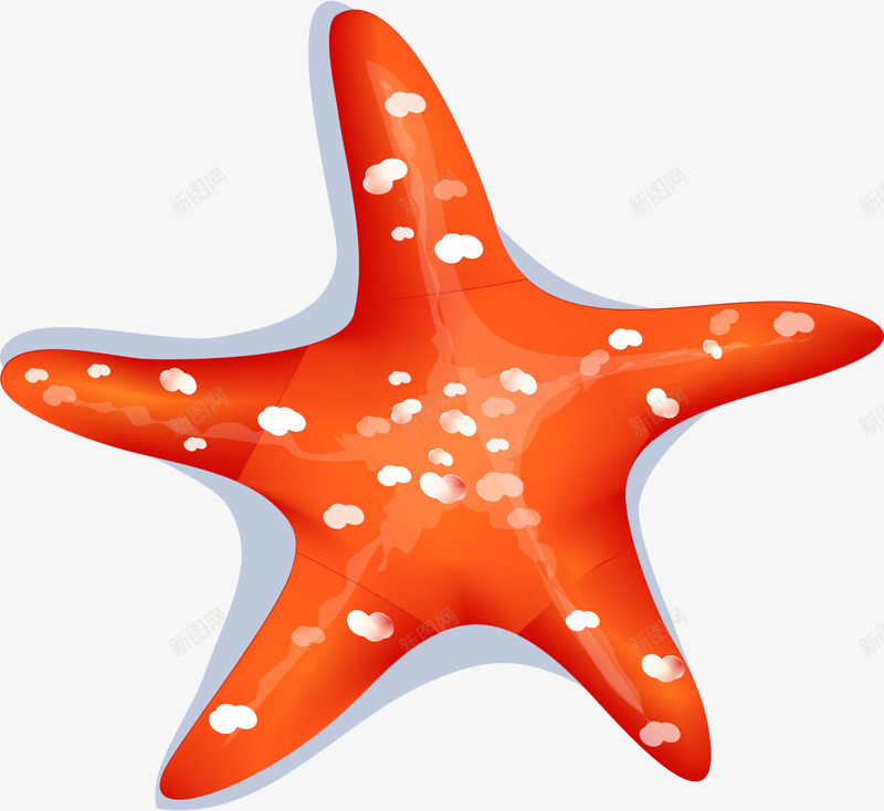 手绘海星png免抠素材_新图网 https://ixintu.com AI 卡通 可爱 夏天 手绘 海星 海洋 海边 红色
