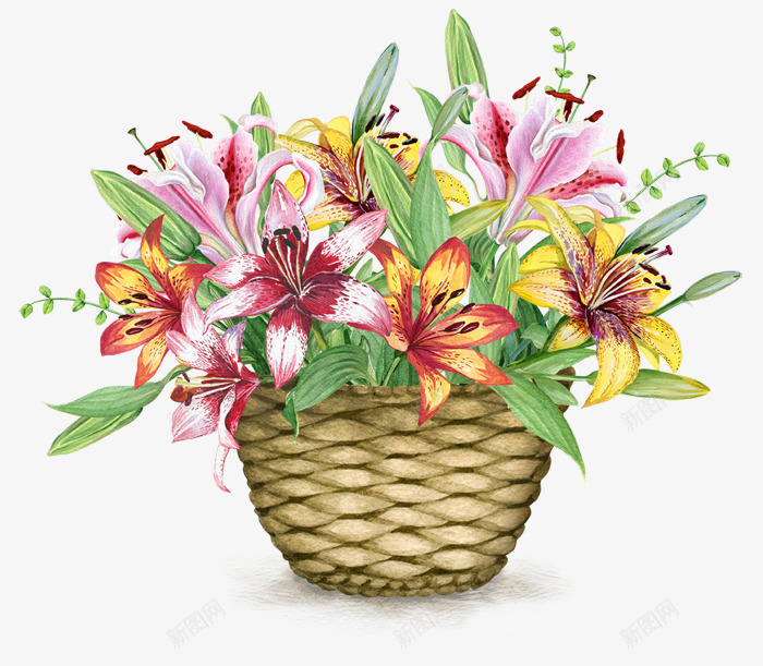 精美唯美花篮花卉png免抠素材_新图网 https://ixintu.com 和花朵 唯美花篮 水彩绘花篮 精美花篮 花卉花篮 花篮 装饰