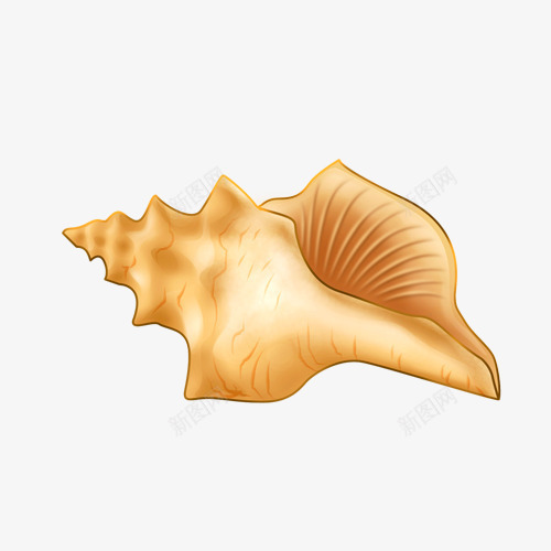海洋贝壳海螺装饰元素png免抠素材_新图网 https://ixintu.com 沙滩 海洋生物 海螺 装饰 贝壳