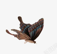 飞翔中的蝴蝶png免抠素材_新图网 https://ixintu.com 蝴蝶 飞翔