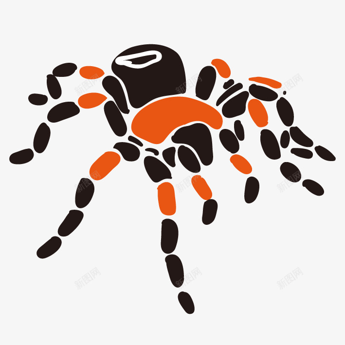 手绘狼蛛蜘蛛图标png_新图网 https://ixintu.com 图标 彩绘 手绘 插画 昆虫 爬行动物 狼蛛 蜘蛛
