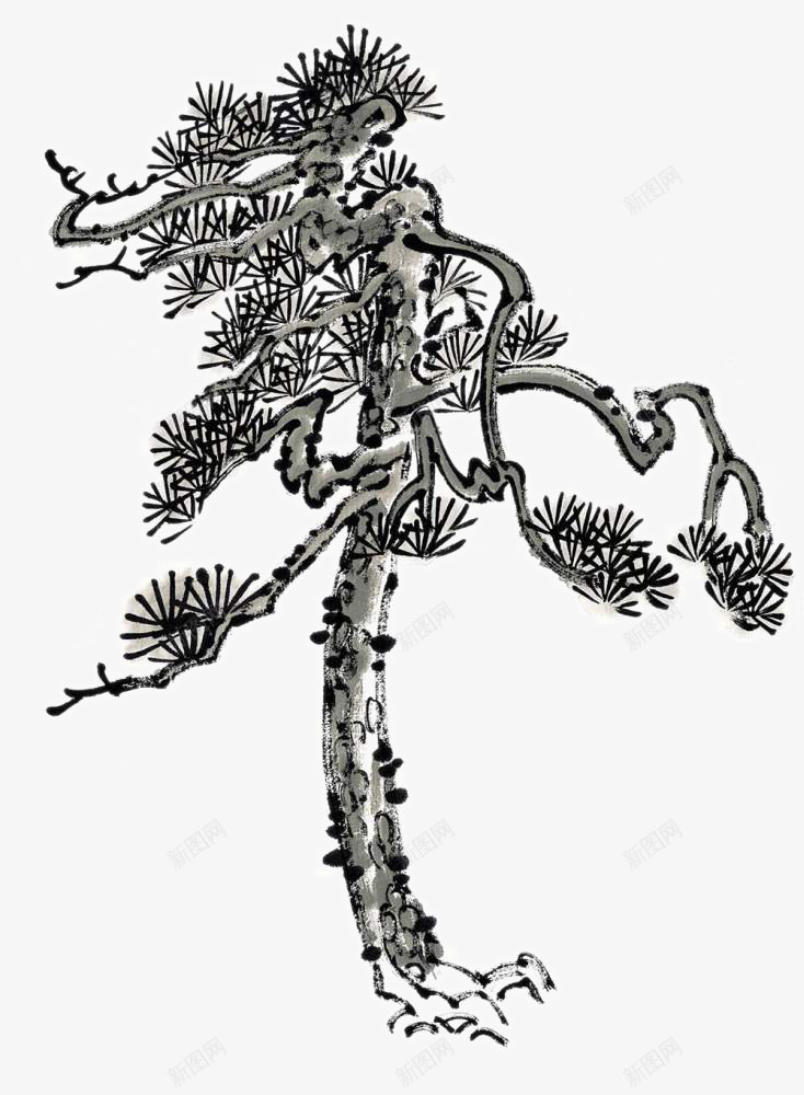 松柏png免抠素材_新图网 https://ixintu.com 中国画技法图谱 写意树木 国画树 手绘装饰树 树木 树谱 芥子园 芥子园画谱