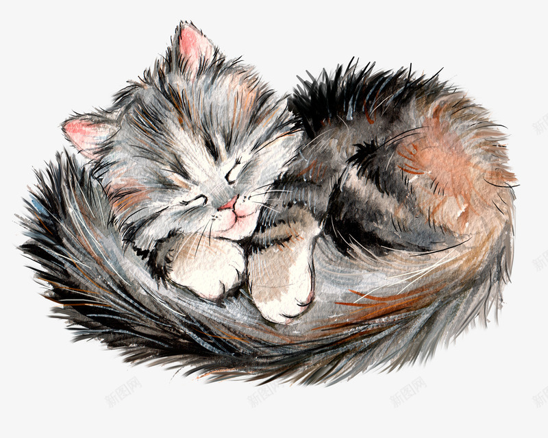 睡觉的小猫png免抠素材_新图网 https://ixintu.com 动物 小猫 手绘画 矢量装饰 装饰
