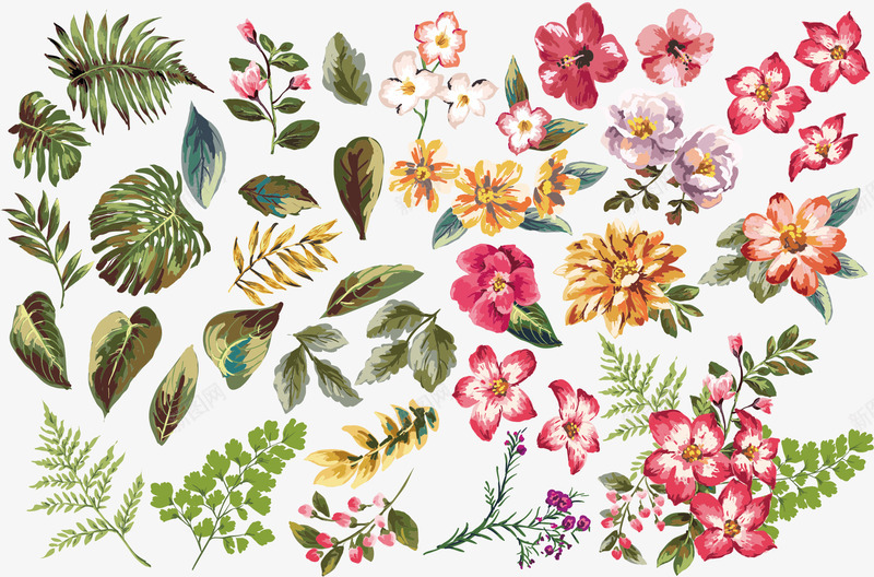 各种植物叶子花卉插画矢量图eps免抠素材_新图网 https://ixintu.com 叶子素材库 植物素材库 花卉插画素材库 花朵素材库 矢量图