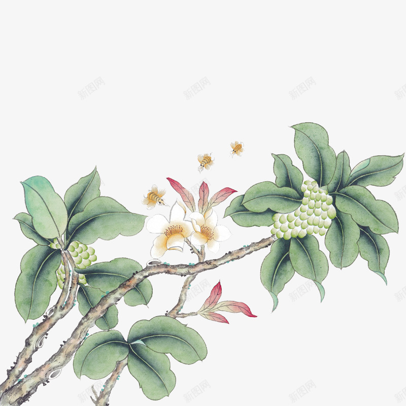 古风彩绘红果实白花绿叶png免抠素材_新图网 https://ixintu.com 古风 彩绘 果实 白花 绿叶