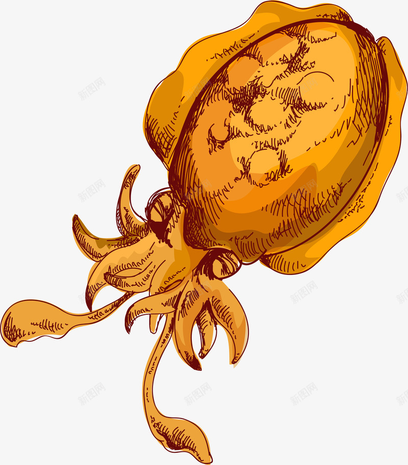 手绘复古海鲜水鱿鱼产png免抠素材_新图网 https://ixintu.com 动物 卡通 手绘复古海鲜水鱿鱼产矢量 海洋动物 海鲜 食材 鱿鱼