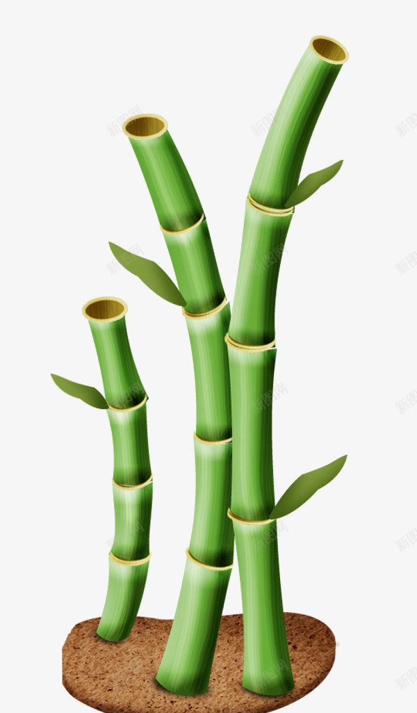 绿色竹节绘画psd免抠素材_新图网 https://ixintu.com 彩绘 植物 竹子 竹节 绿色