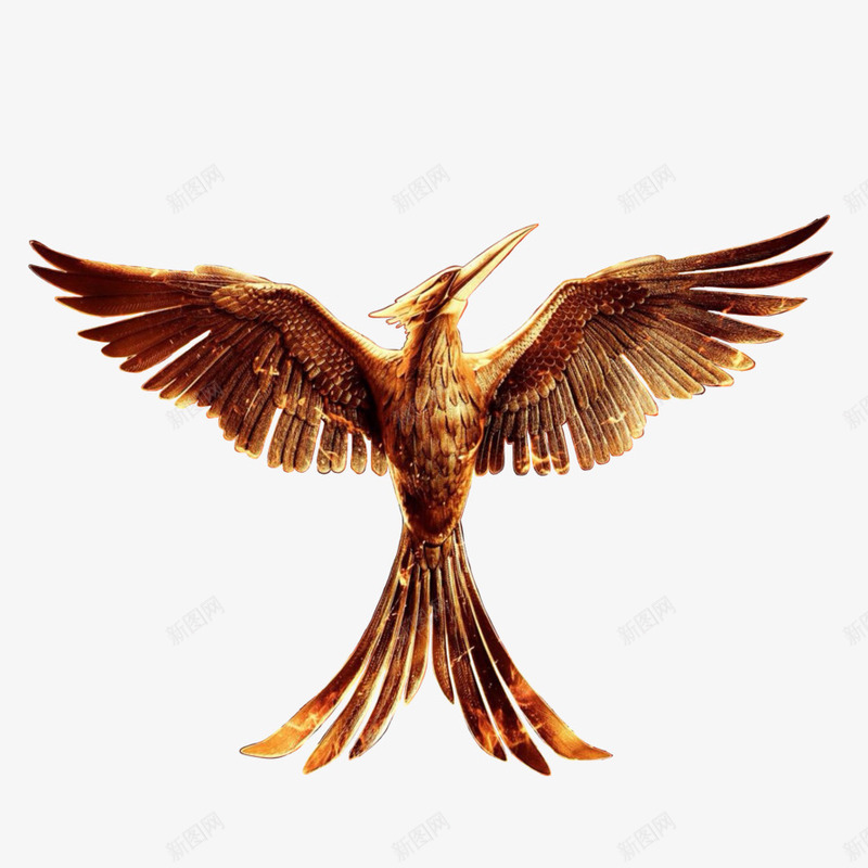 手绘凤凰png免抠素材_新图网 https://ixintu.com 凤凰 手绘 生物 飞翔 飞行 飞行动物