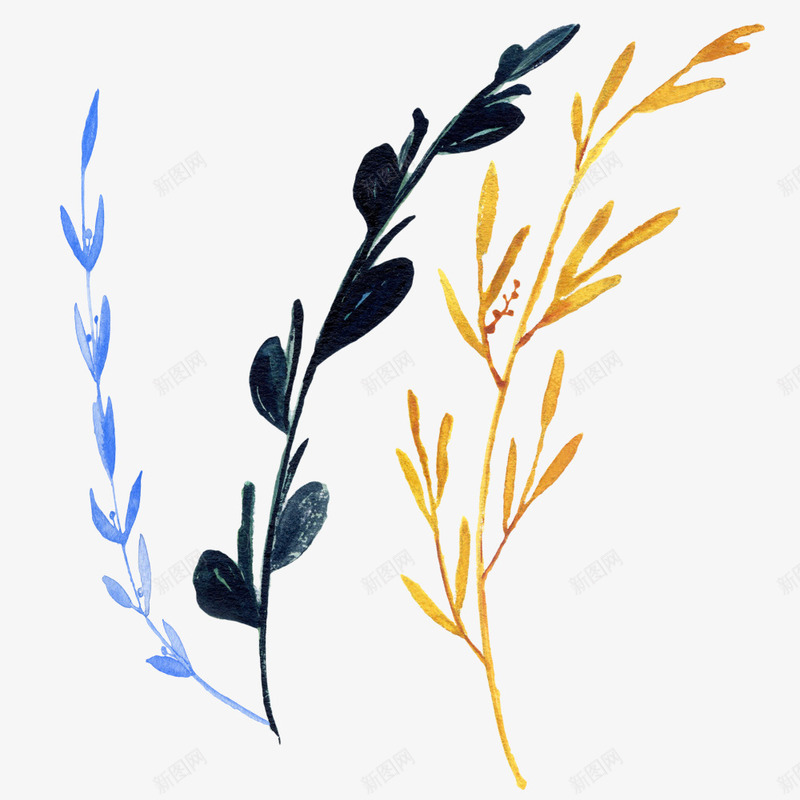 手绘插画水彩植物叶子图案png免抠素材_新图网 https://ixintu.com 叶子 唯美 彩绘 手绘插画 插画 晕染 树叶 植物 水彩 淡雅 清新 绿植 背景装饰 自然 花草