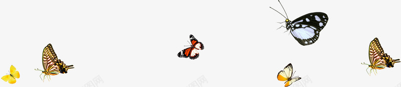教师节各种蝴蝶海报png免抠素材_新图网 https://ixintu.com 各种 教师节 海报 蝴蝶