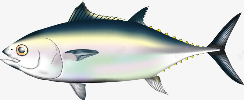 卡通海鱼png免抠素材_新图网 https://ixintu.com 卡通鱼 水中生物 海洋生物 海洋鱼 海鱼 矢量鱼 鱼 鱼儿