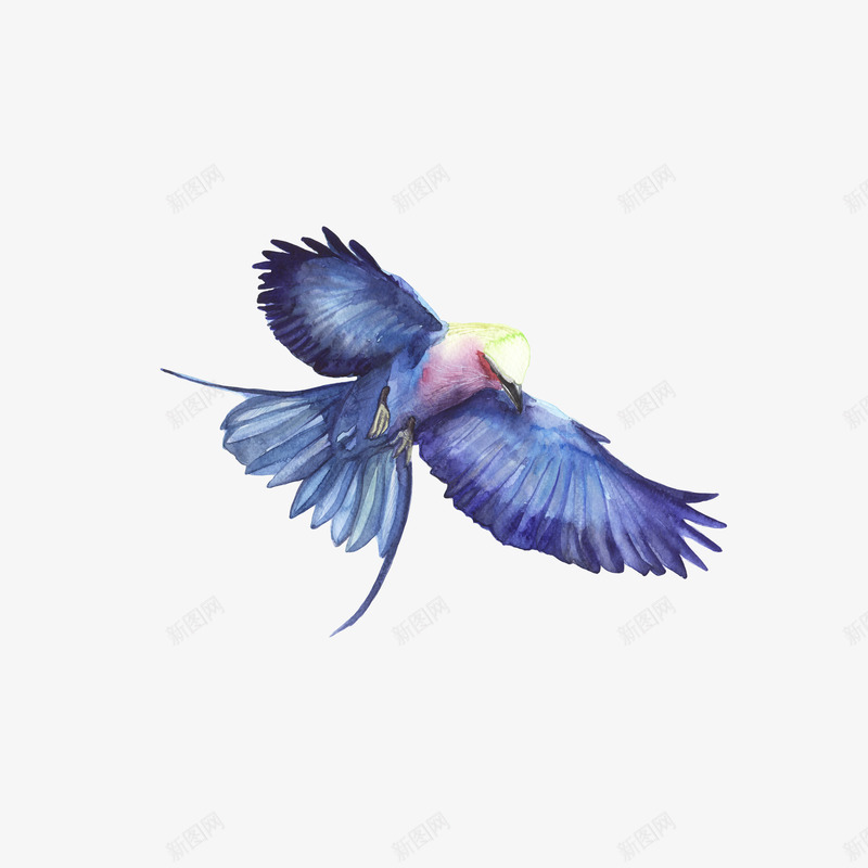 蓝色的老鹰png免抠素材_新图网 https://ixintu.com PNG图形 PNG装饰 手绘 老鹰 蓝色 装饰 飞翔