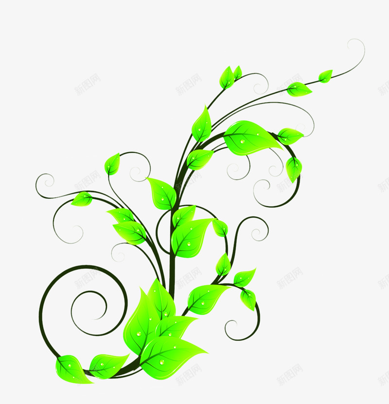 绿色的花藤背景png免抠素材_新图网 https://ixintu.com 绿色 背景