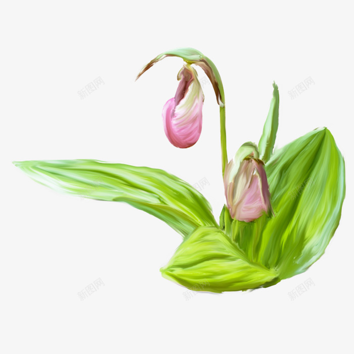 彩绘绿草绿叶红花png免抠素材_新图网 https://ixintu.com 彩绘 红花 绿叶 绿草