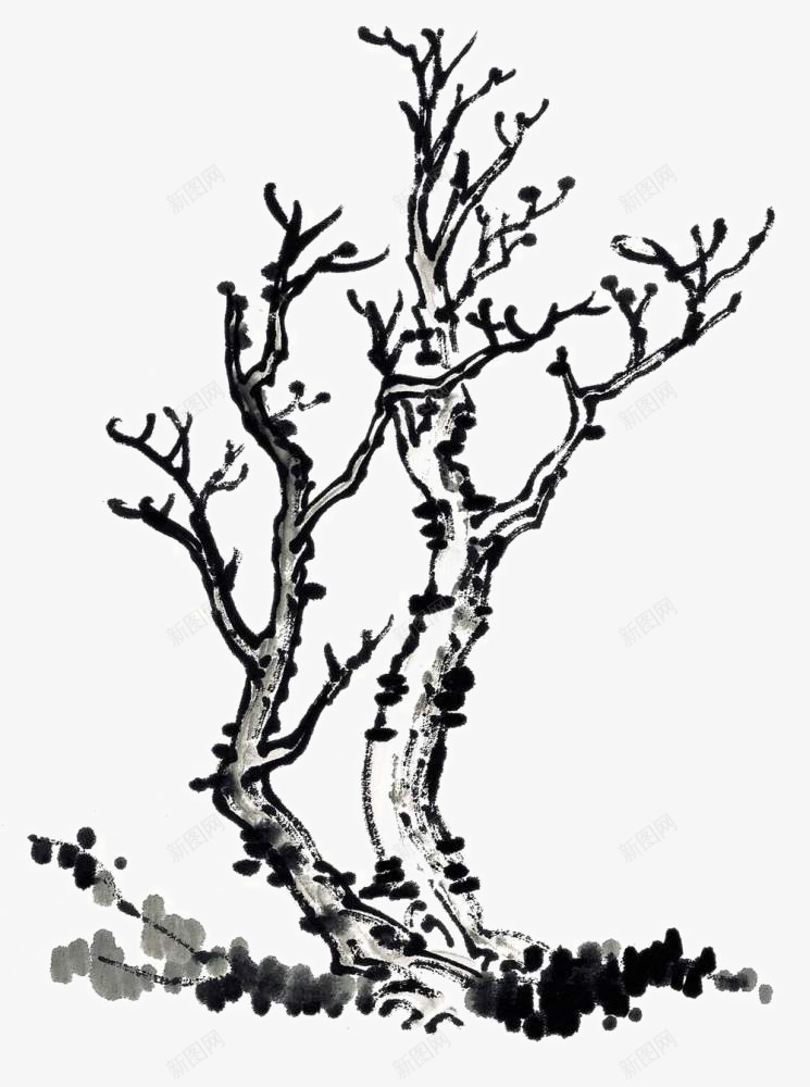 枯藤老树png免抠素材_新图网 https://ixintu.com 中国画技法图谱 写意树木 国画树 手绘装饰树 树木 树谱 芥子园 芥子园画谱