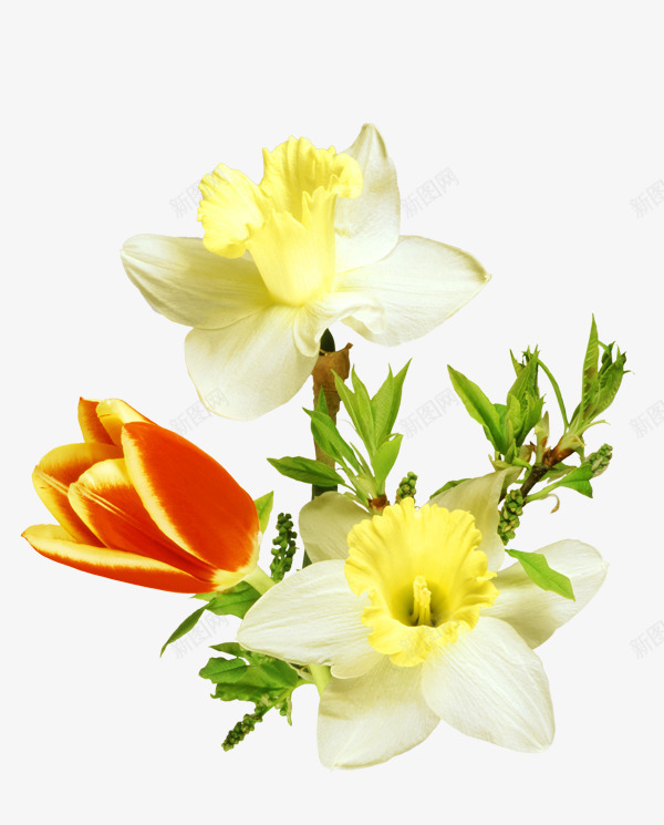 装饰鲜花绿叶背景图png免抠素材_新图网 https://ixintu.com 橙色鲜花 装饰元素 装饰鲜花