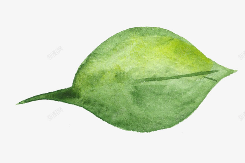 彩绘绿色树叶插画png免抠素材_新图网 https://ixintu.com 一片叶子 彩绘绿色树叶插画 树叶 树木 矢量绿叶 自然