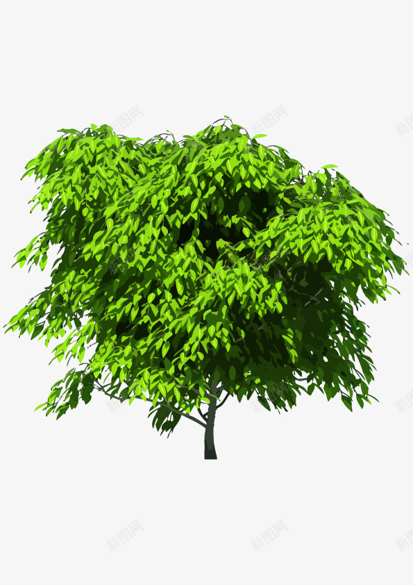 风中摇曳树木png免抠素材_新图网 https://ixintu.com 摇曳 树木