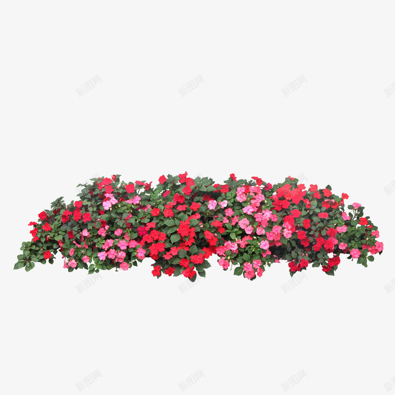 绿色植物png免抠素材_新图网 https://ixintu.com 园林 树木 绿化装饰 绿色植物 花丛 花草