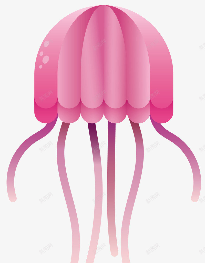 玫红色扁平水母png免抠素材_新图网 https://ixintu.com 卡通生物 扁平水母 海洋动物 玫红色 矢量扁平海洋生物 矢量海洋生物 红色水母 鱼类