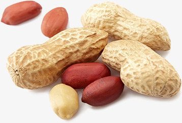 花生仁和花生壳png免抠素材_新图网 https://ixintu.com 产品实图 花生仁 花生壳 谷物