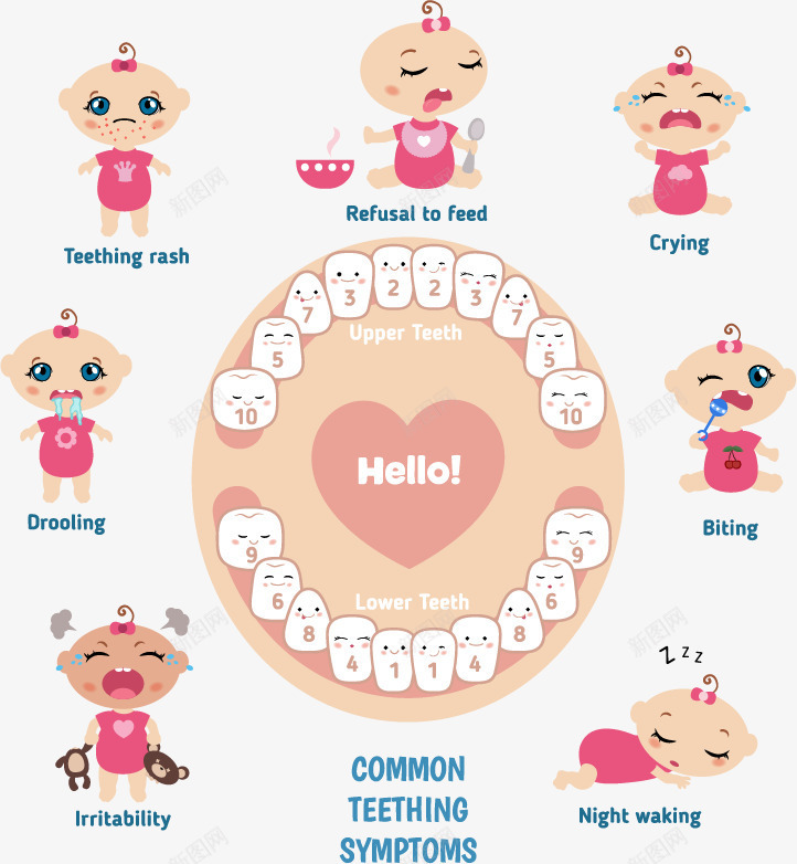 卡通婴儿牙齿牙科保护注解png免抠素材_新图网 https://ixintu.com 可爱牙齿 婴儿 教育图示