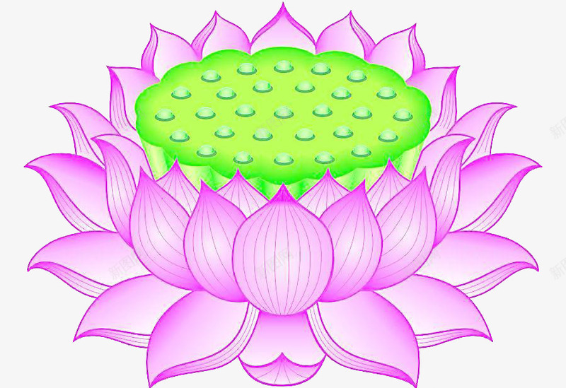 有质感的卡通紫色莲花元素png免抠素材_新图网 https://ixintu.com 卡通 紫色 莲花 质感