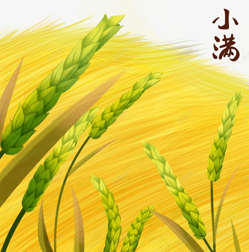 金色纹理小麦田元素png免抠素材_新图网 https://ixintu.com 创意 卡通插画 小麦田 粮食 纹理 质感 金色 麦穗