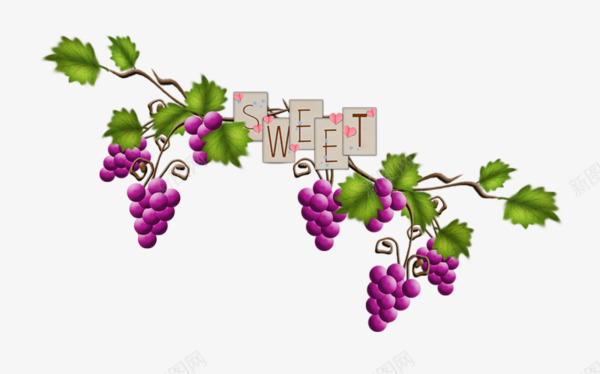 SWEETpng免抠素材_新图网 https://ixintu.com 水果 水果树 紫色葡萄 葡萄
