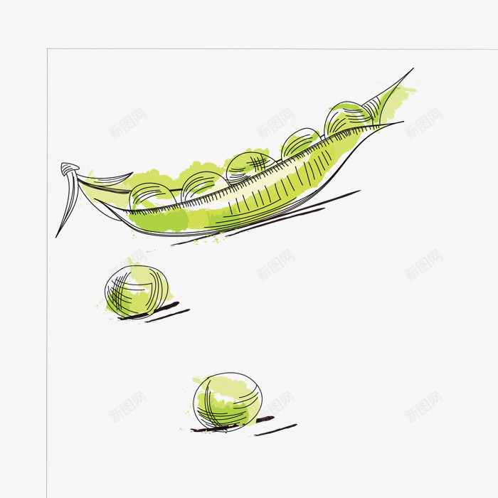 手绘豌豆png免抠素材_新图网 https://ixintu.com 卡通 手绘 泼墨 简图 简笔 绿色 豌豆 豌豆荚