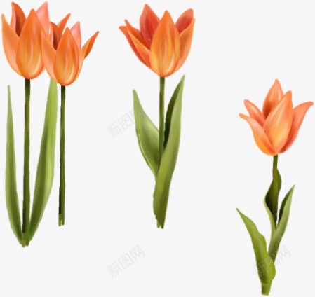 手绘水晶黄色花朵png免抠素材_新图网 https://ixintu.com 水晶 花朵 黄色