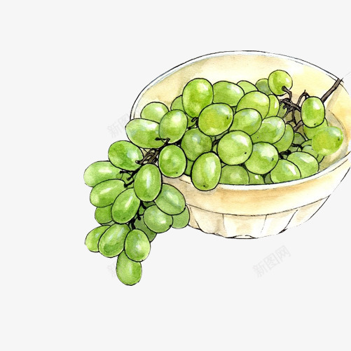 青葡萄手绘画片psd免抠素材_新图网 https://ixintu.com 手绘美食 水果 葡萄 青色