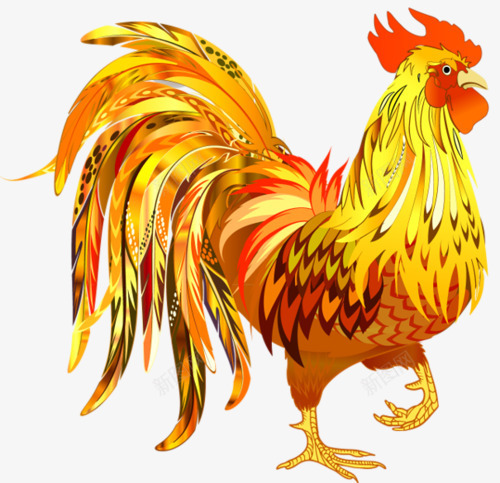 鸡年png免抠素材_新图网 https://ixintu.com 今年 新年 过年 金鸡