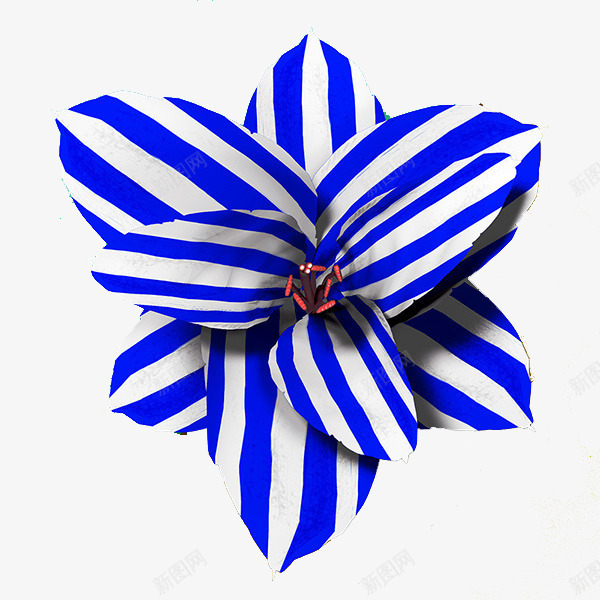 条纹花png免抠素材_新图网 https://ixintu.com 花朵 蓝白条纹