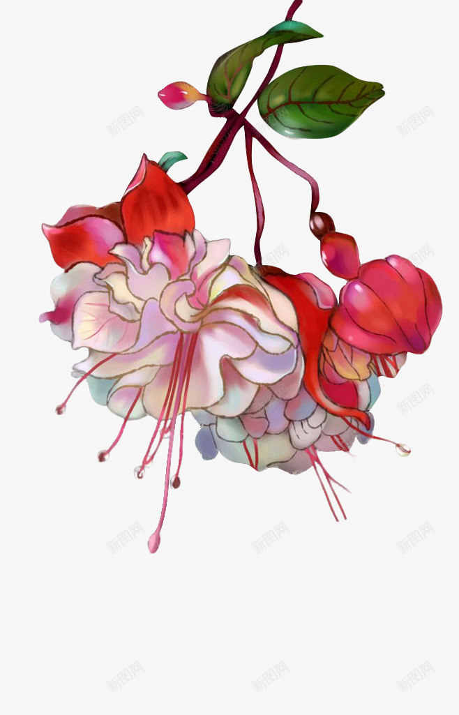 彩绘向下的花朵花蕊png免抠素材_新图网 https://ixintu.com 彩绘 花朵 花蕊