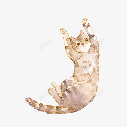 小猫跳跃片png免抠素材_新图网 https://ixintu.com 宠物 彩绘 猫咪 花猫 跃起