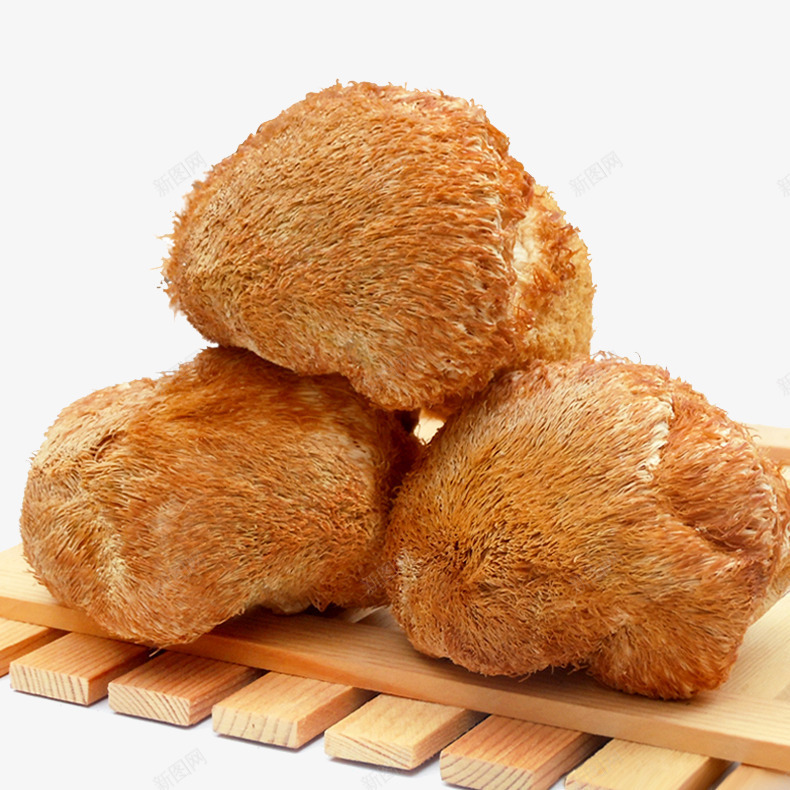 猴头菇png免抠素材_新图网 https://ixintu.com 产品实物 干货 菌类