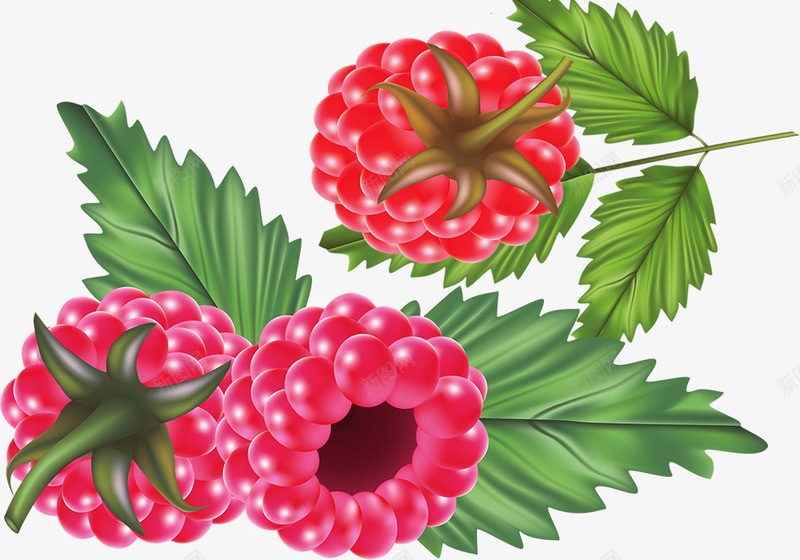 美味的荔枝png免抠素材_新图网 https://ixintu.com 吃喝玩乐 美味 荔枝 过大年 过年吃零食