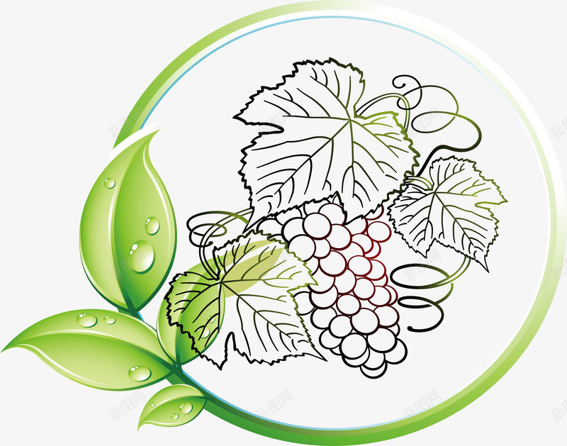 葡萄酒主题标识矢量图图标ai_新图网 https://ixintu.com AI免抠图 手绘图设计图 有机水果设计 水果标识 葡萄酒酒标 矢量图