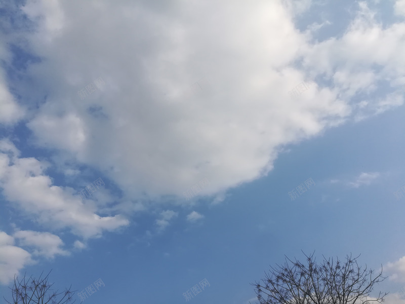 蓝天白云树背景png免抠素材_新图网 https://ixintu.com 动漫蓝天白云图片 摄影 树 白云 背景 蓝天
