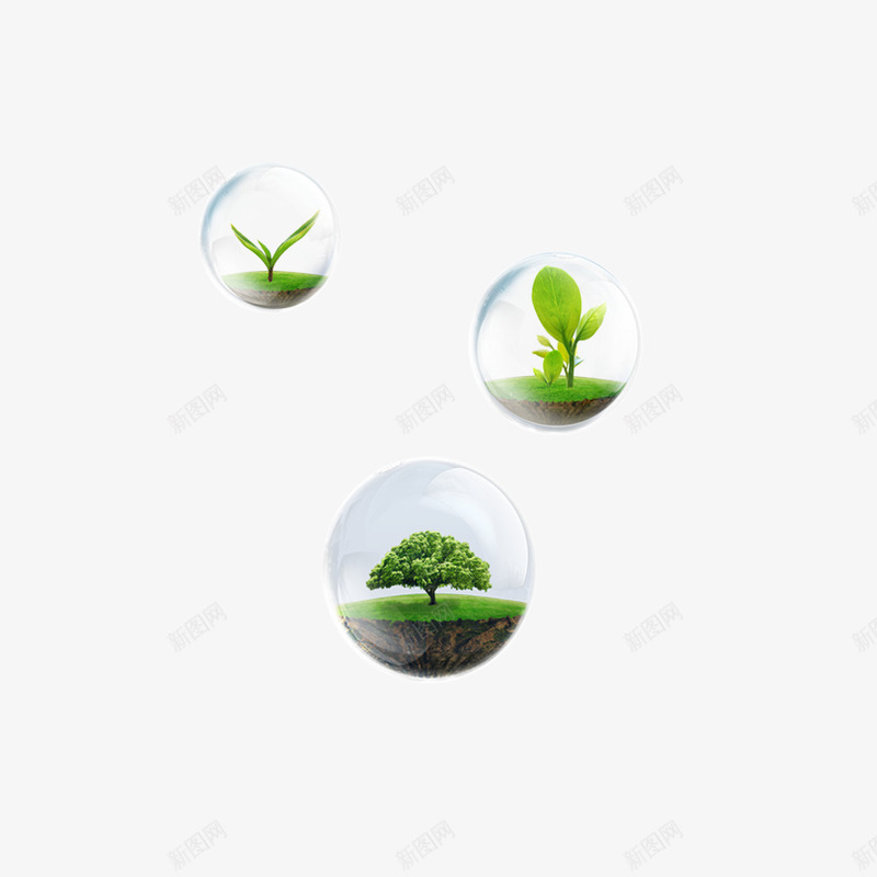 水晶球里的植物png免抠素材_新图网 https://ixintu.com 植物 环保 绿色 装饰