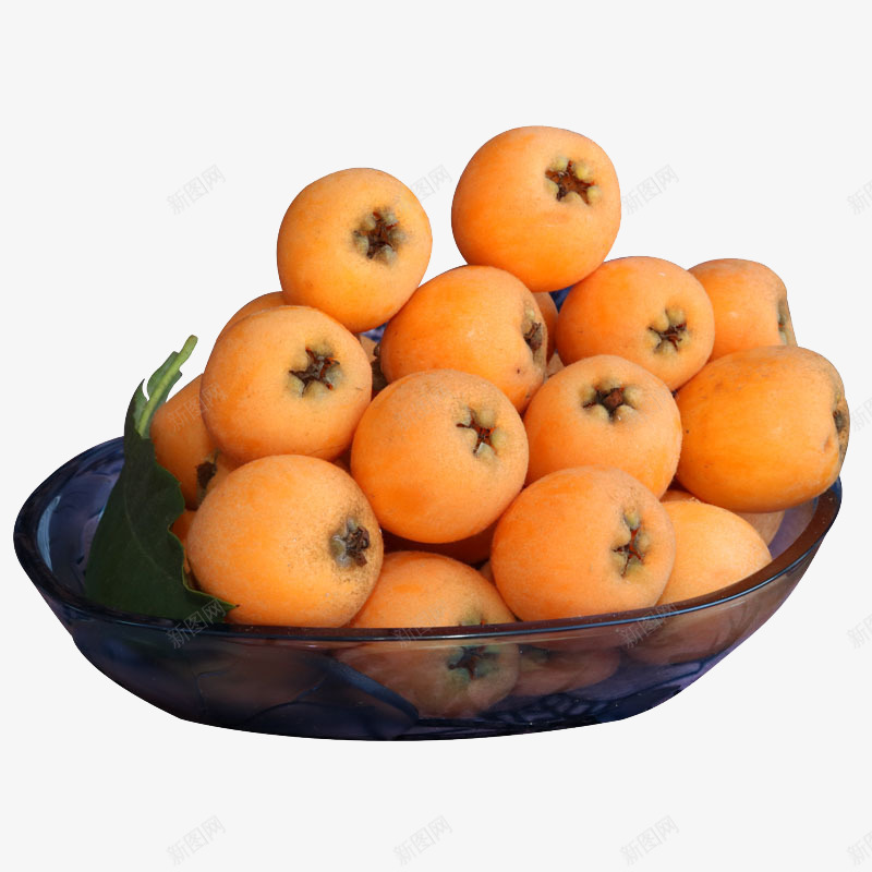 枇杷png免抠素材_新图网 https://ixintu.com 枇杷果 水果 美食 黄色 黄色美味枇杷果