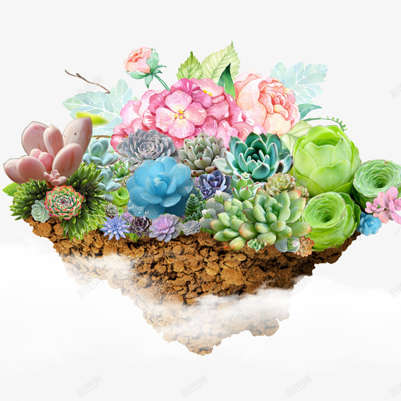 彩色的多肉植物png免抠素材_新图网 https://ixintu.com png图形 png装饰 多肉植物 植物 花朵 装饰
