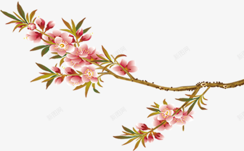唯美精美花枝花朵桃花树叶树枝png免抠素材_新图网 https://ixintu.com 唯美 树叶 树枝 桃花 精美 花朵 花枝