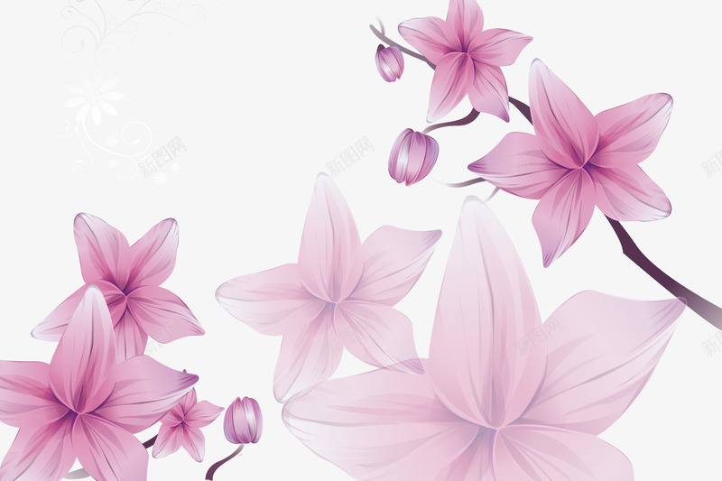 粉色蝶恋花png免抠素材_新图网 https://ixintu.com 粉色 花枝 花苞 蝶恋花
