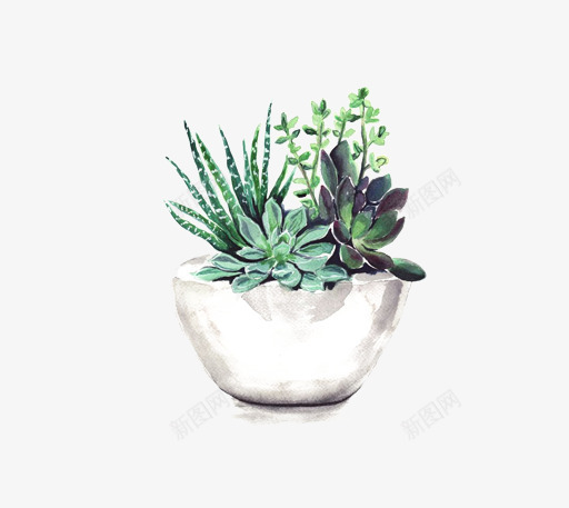 花盆绿植水彩图案png免抠素材_新图网 https://ixintu.com 多肉植物 植物 水彩图 简图 绿植 花盆 装饰