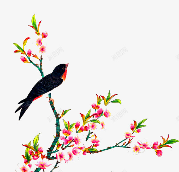 粉色清新花枝燕子装饰图案png免抠素材_新图网 https://ixintu.com 免抠PNG 清新 燕子 粉色 花枝 装饰图案