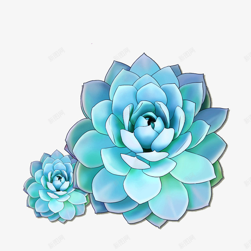 卡通蓝石莲png免抠素材_新图网 https://ixintu.com 卡通 多肉 植物 清新 蓝石莲 蓝色 装饰