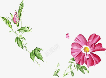 彩绘红色花朵花枝装饰png免抠素材_新图网 https://ixintu.com 图片 彩绘 红色 花朵 花枝 装饰